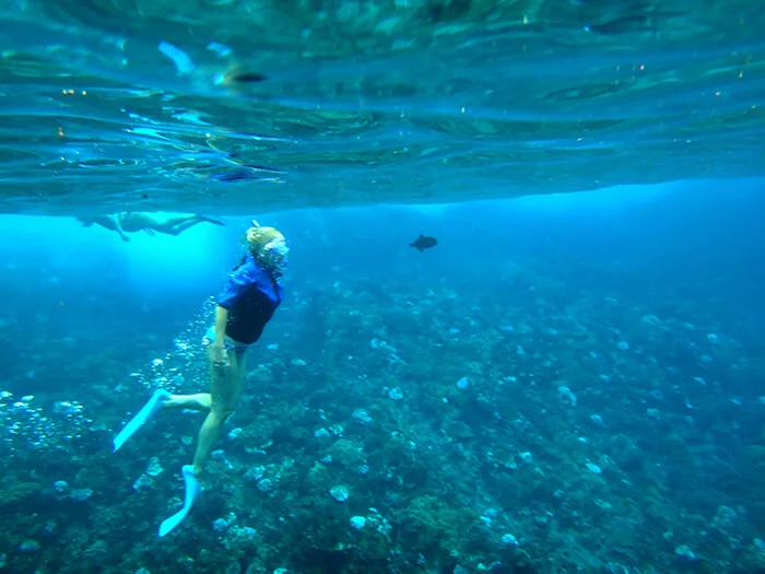 Molokini Express Snorkeling