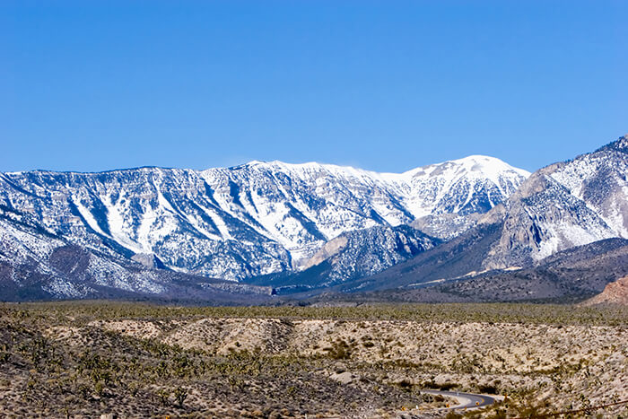 Mount Charleston