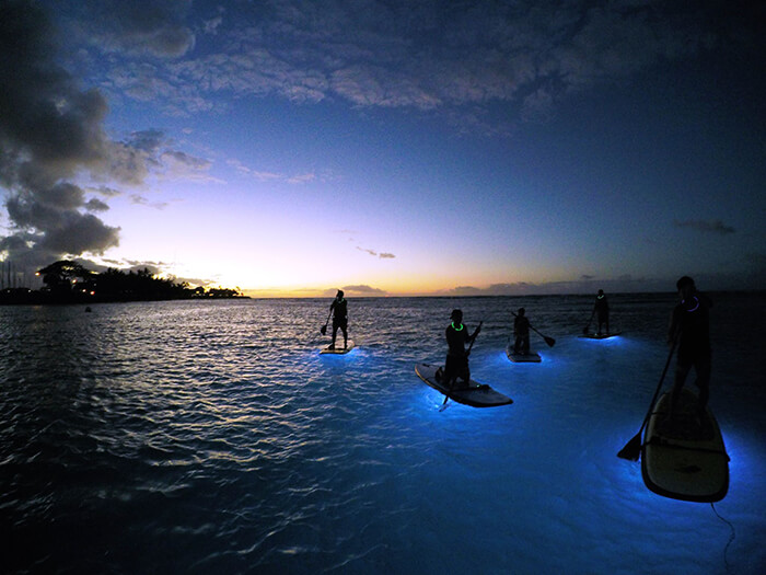 Nocturnal Adventures Hawaii