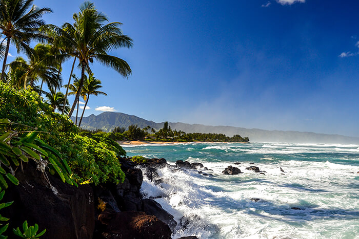 North Shore Beach Tour