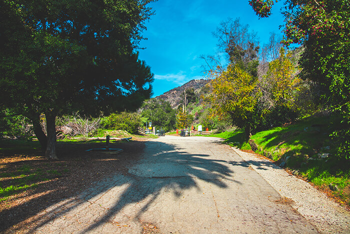 Runyon Canyon Park