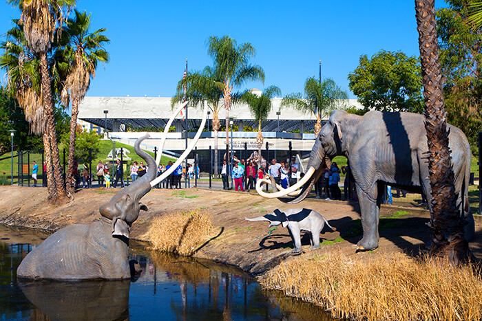 The La Brea Tar Pits & Museum