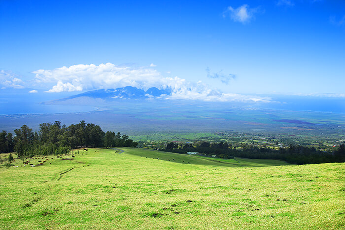 Upcountry Maui