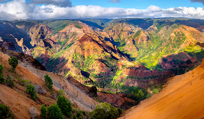 Waimea Canyon