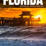 fun things to do in Florida