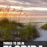 fun things to do in Florida