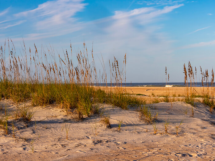 Anastasia State Park