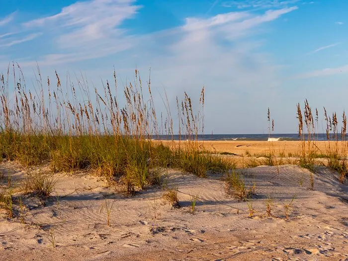 Anastasia State Park