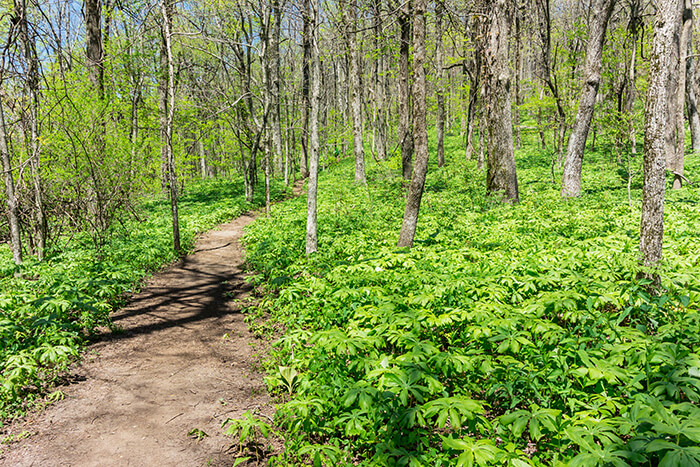 Appalachian Trail