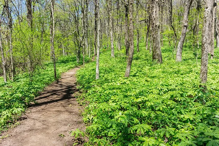 Appalachian Trail