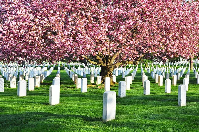 Arlington National Cemetery