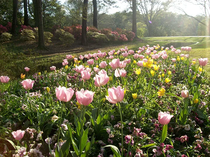 Callaway Gardens