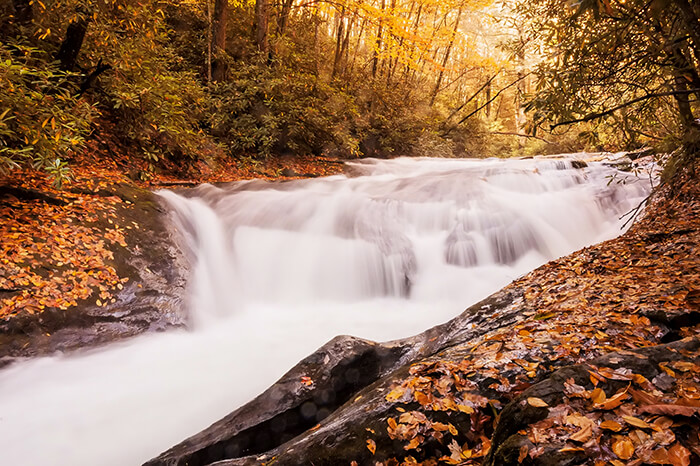 Chattahoochee-Oconee National Forest