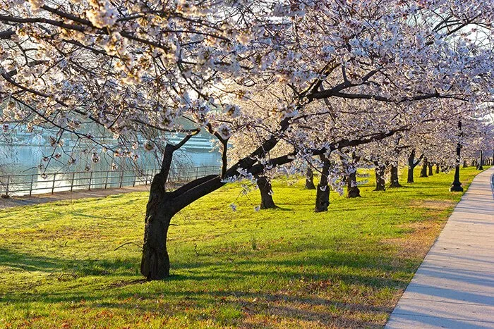 East Potomac Park