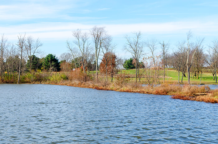 Jacobson Park