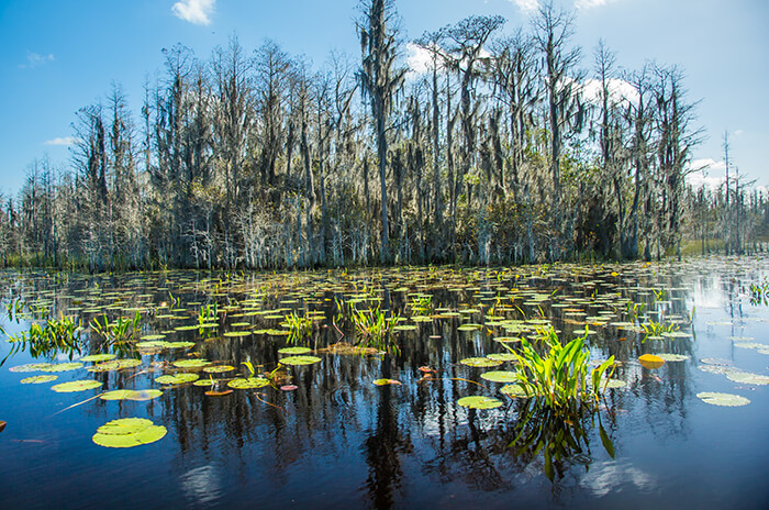 Okefenokee National Wildlife Refuge