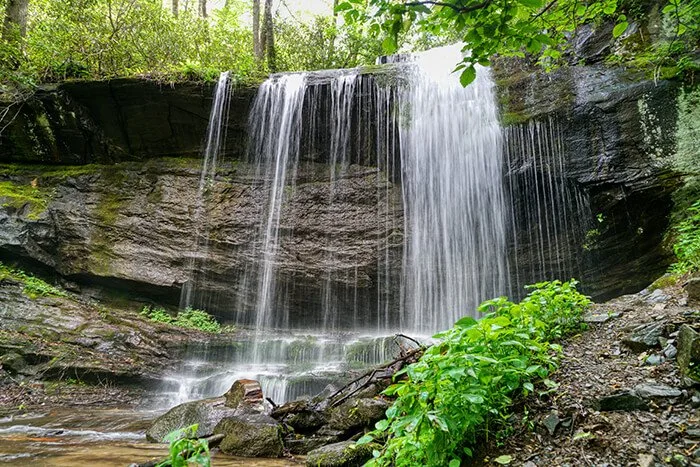 Pisgah National Forest