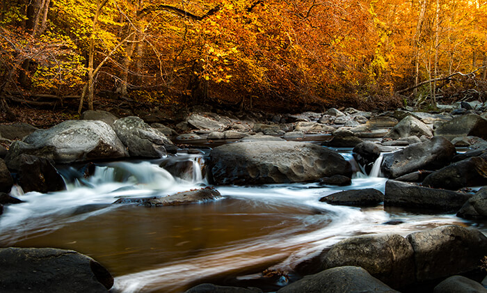 Rock Creek Park