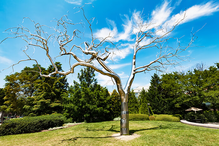 Sculpture Garden