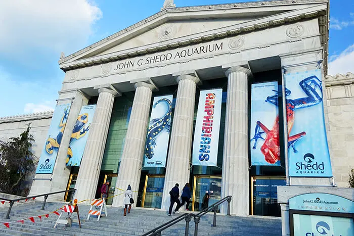 Shedd Aquarium