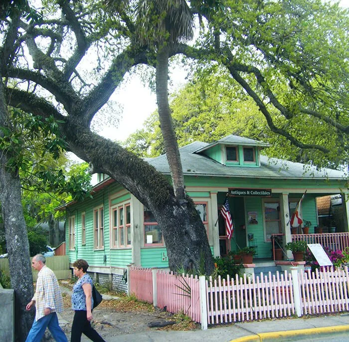 The Love Trees of St. Augustine