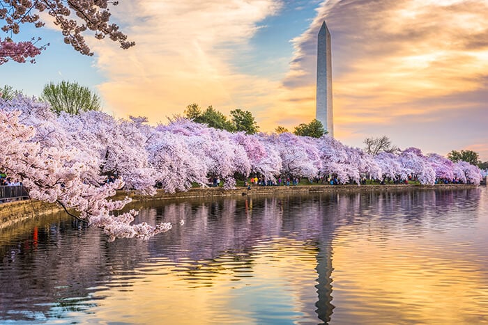 Tidal Basin