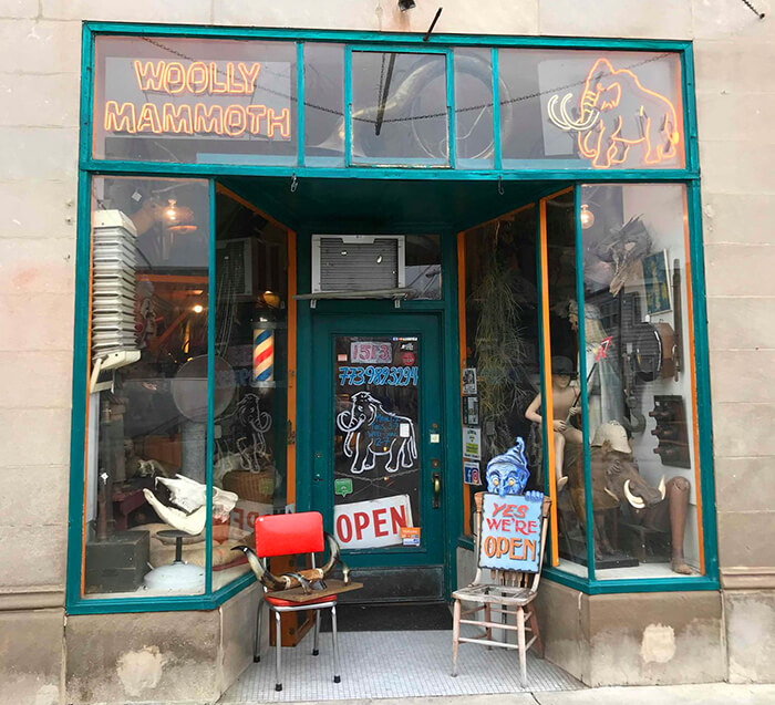 Woolly Mammoth Antiques and Oddities