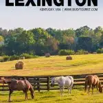 fun things to do in Lexington