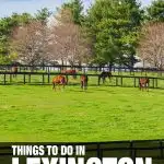 fun things to do in Lexington, KY