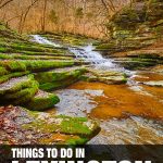 fun things to do in Lexington, KY