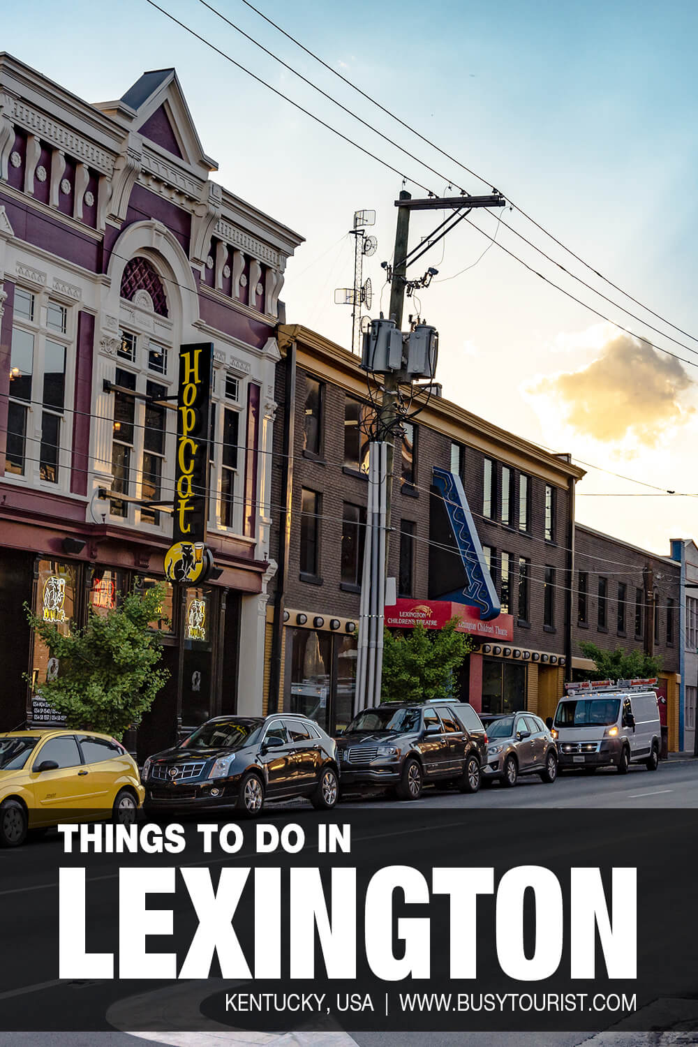 Dog Friendly Things To Do In Lexington Ky At Diego Schmitt Blog Dog Friendly Things To Do In Lexington Ky At Diego Schmitt Blog