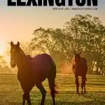 things to do in Lexington, KY