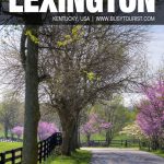 things to do in Lexington, KY