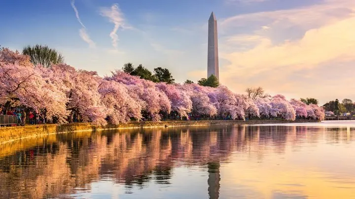 things to do in Washington, DC