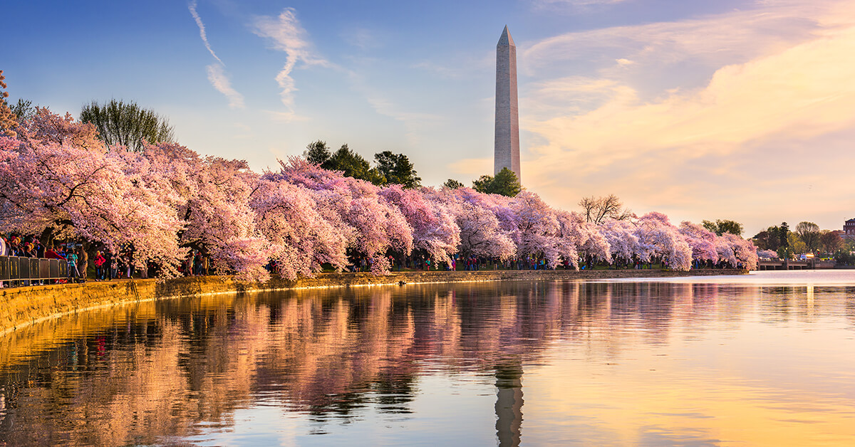 68 Best & Fun Things To Do In Washington, DC Attractions & Activities