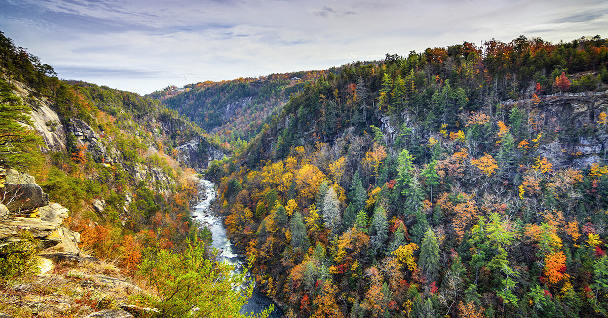 50 Best Things To Do & Places To Visit In Georgia - Attractions