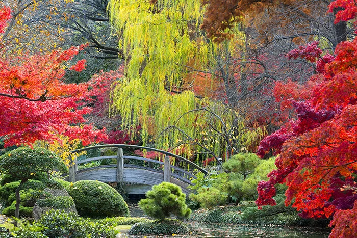 Fort Worth Botanic Garden