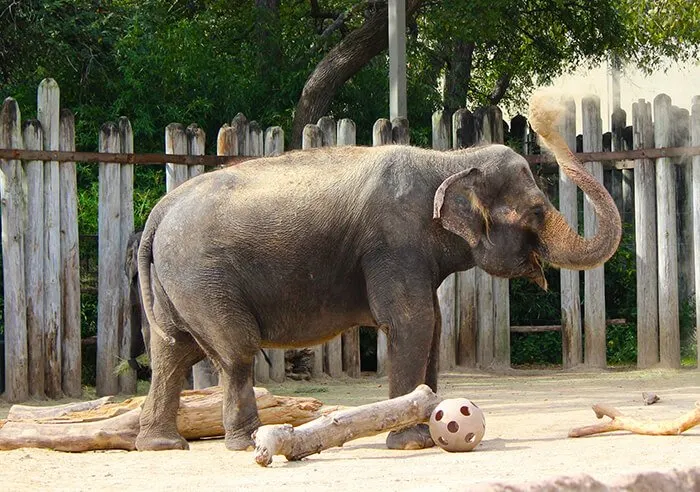 Fort Worth Zoo