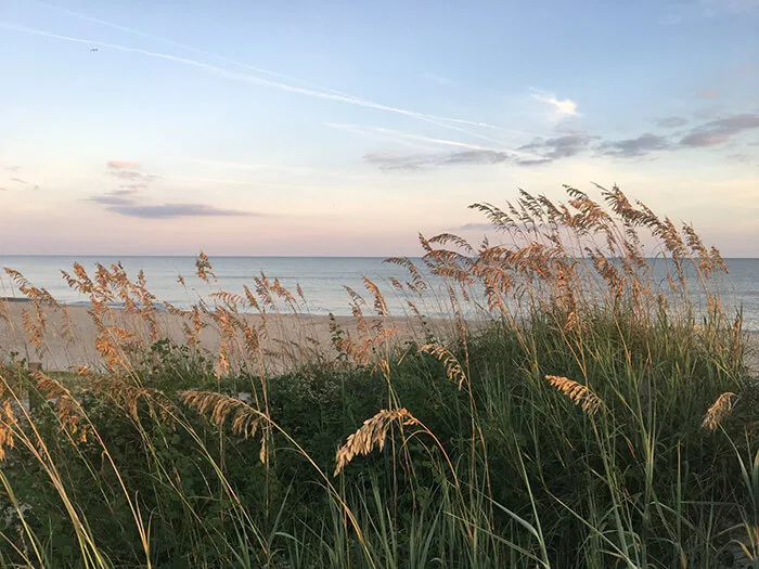 Masonboro Island Reserve