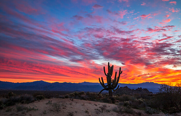 McDowell Sonoran Preserve