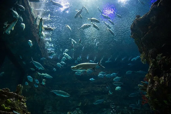 North Carolina Aquarium at Fort Fisher