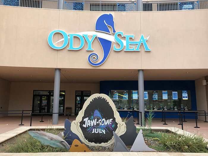 OdySea Aquarium