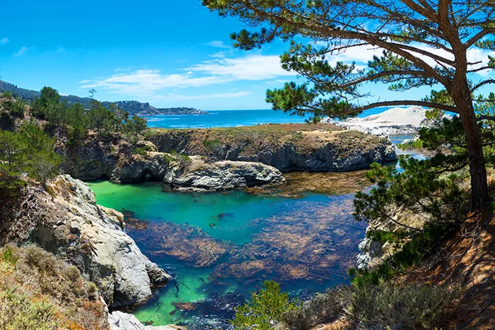 Point Lobos State Natural Reserve