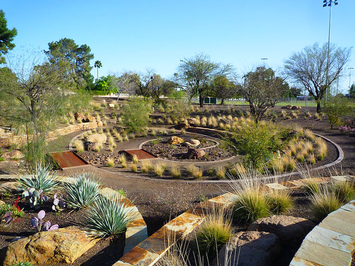 The Scottsdale Xeriscape Garden