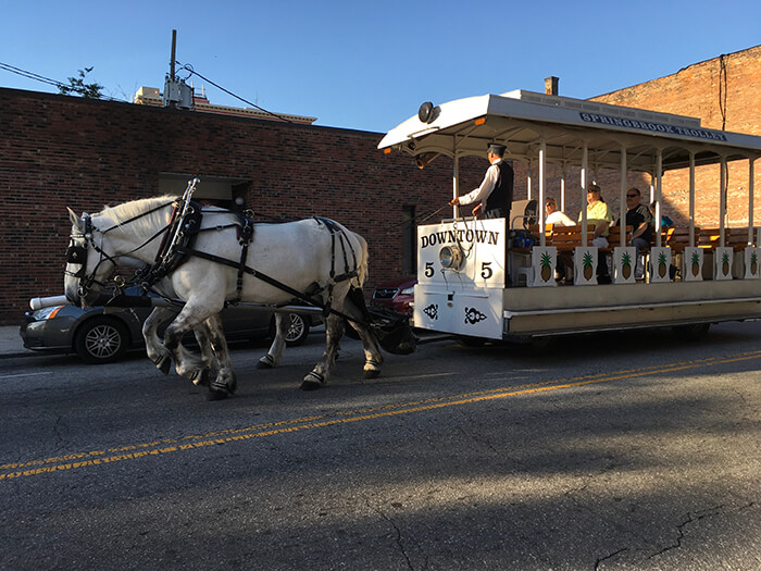 Trolley Tour