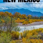 things to do in New Mexico
