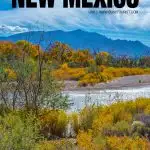 things to do in New Mexico