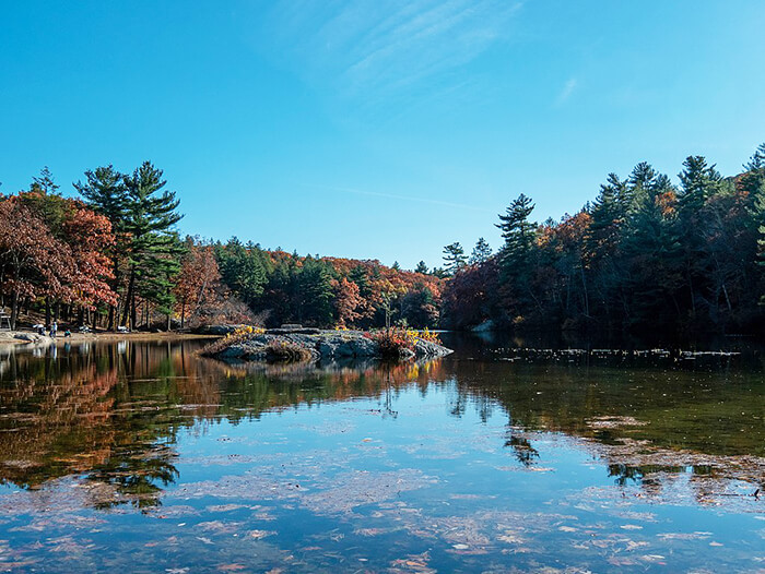 Breakheart Reservation