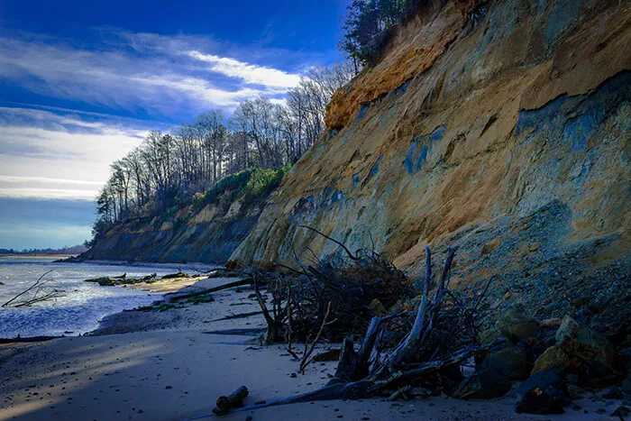 Calvert Cliffs State Park