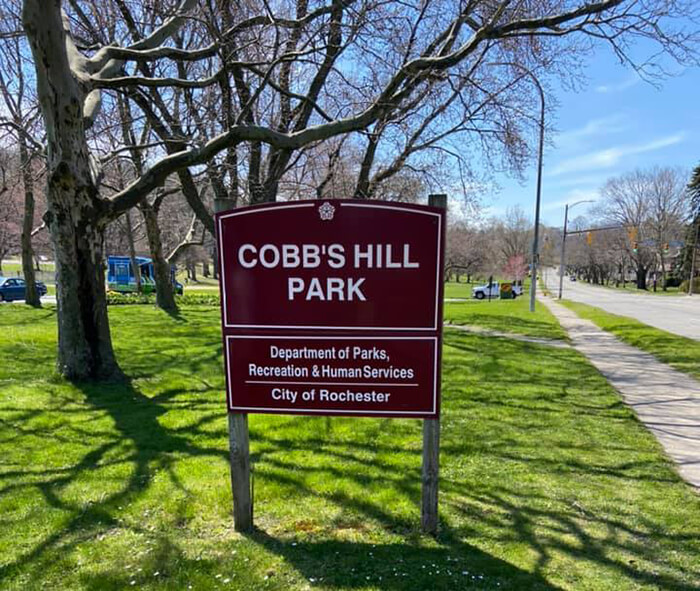 Cobb's Hill Park